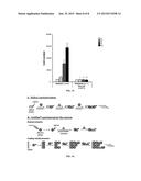 IMPLANTABLE MATERIAL GRAFTED WITH A CELL ANTIPROLIFERATIVE AND/OR     ANTIBACTERIAL FILM AND PROCESS OF GRAFTING THEREOF diagram and image