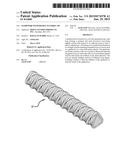 GUIDEWIRE WITH HIGHLY FLEXIBLE TIP diagram and image