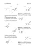 Viral Polymerase Inhibitors diagram and image