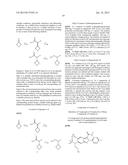 Viral Polymerase Inhibitors diagram and image