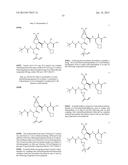 HCV PROTEASE INHIBITORS AND USES THEREOF diagram and image