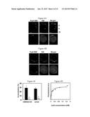 PEPTIDES DERIVED FROM HIV GP41 FOR TREATING T-CELL MEDIATED PATHOLOGIES diagram and image