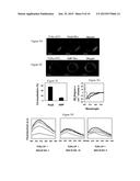 PEPTIDES DERIVED FROM HIV GP41 FOR TREATING T-CELL MEDIATED PATHOLOGIES diagram and image