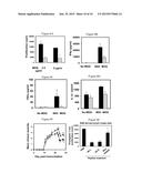 PEPTIDES DERIVED FROM HIV GP41 FOR TREATING T-CELL MEDIATED PATHOLOGIES diagram and image