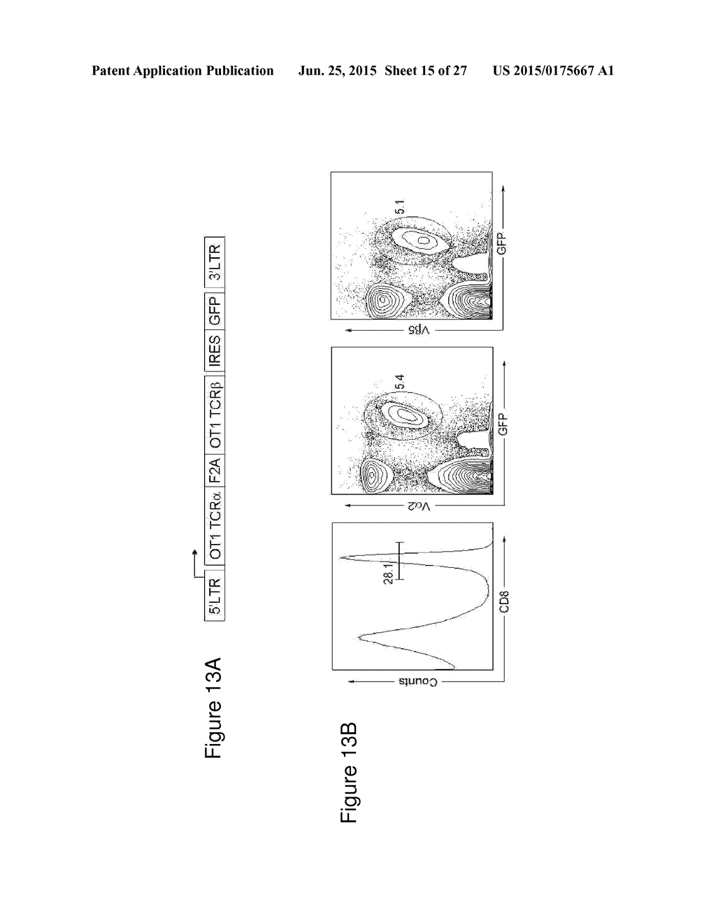 TARGETED GENE DELIVERY FOR DENDRITIC CELL VACCINATION - diagram, schematic, and image 16