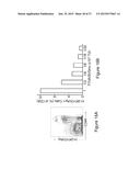 TARGETED GENE DELIVERY FOR DENDRITIC CELL VACCINATION diagram and image