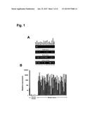 Monoclonal Antibodies for Treatment of Cancer diagram and image