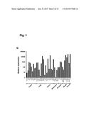 Monoclonal Antibodies for Treatment of Cancer diagram and image