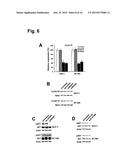 Monoclonal Antibodies for Treatment of Cancer diagram and image