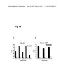 Monoclonal Antibodies for Treatment of Cancer diagram and image