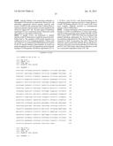 Monoclonal Antibodies for Treatment of Cancer diagram and image