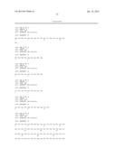 ANTIBODIES AGAINST HUMAN CSF-1R AND USES THEREOF diagram and image