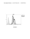 Novel Antibodies Against Cancer Target Block Tumor Growth, Angiogenesis     and Metastatis diagram and image