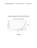 Novel Antibodies Against Cancer Target Block Tumor Growth, Angiogenesis     and Metastatis diagram and image