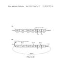 Alphavirus Compositions and Methods of Use diagram and image