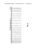 DELTA-5 DESATURASES AND THEIR USE IN MAKING POLYUNSATURATED FATTY ACIDS diagram and image