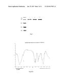 BACILLUS, HYALURONIDASE, AND USES THEREOF diagram and image