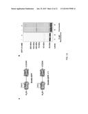 Methods and Kits to Create Protein Substrate.about.HECT-Ubiquitin Ligase     Pairs diagram and image