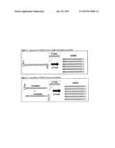 RNAPII-140 NUCLEIC ACID MOLECULES THAT CONFER RESISTANCE TO COLEOPTERAN     PESTS diagram and image