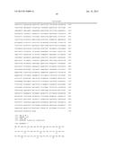 RNAPII-140 NUCLEIC ACID MOLECULES THAT CONFER RESISTANCE TO COLEOPTERAN     PESTS diagram and image