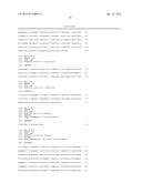 RNAPII-140 NUCLEIC ACID MOLECULES THAT CONFER RESISTANCE TO COLEOPTERAN     PESTS diagram and image