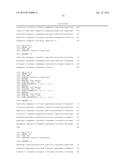 RNAPII-140 NUCLEIC ACID MOLECULES THAT CONFER RESISTANCE TO COLEOPTERAN     PESTS diagram and image