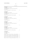 RNAPII-140 NUCLEIC ACID MOLECULES THAT CONFER RESISTANCE TO COLEOPTERAN     PESTS diagram and image