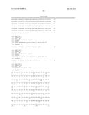 RNAPII-140 NUCLEIC ACID MOLECULES THAT CONFER RESISTANCE TO COLEOPTERAN     PESTS diagram and image