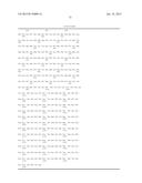 RNAPII-140 NUCLEIC ACID MOLECULES THAT CONFER RESISTANCE TO COLEOPTERAN     PESTS diagram and image