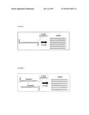 RAS OPPOSITE (ROP) AND RELATED NUCLEIC ACID MOLECULES THAT CONFER     RESISTANCE TO COLEOPTERAN AND/OR HEMIPTERAN PESTS diagram and image