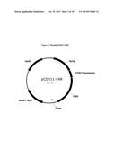 PRODUCTION OF FATTY ALCOHOLS FROM ENGINEERED MICROORGANISMS diagram and image