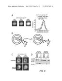 Resonance Energy Transfer Assay with Cleavage Sequence and Spacer diagram and image
