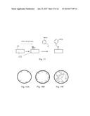 Nanopore Device for Reversible Ion and Molecule Sensing or Migration diagram and image