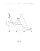 Nanopore Device for Reversible Ion and Molecule Sensing or Migration diagram and image