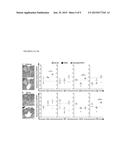 BIOMARKERS OF IMMUNE RESPONSE IN MUCOSAL LESIONS AND THEIR USE WITH     THERAPEUTIC VACCINATION diagram and image