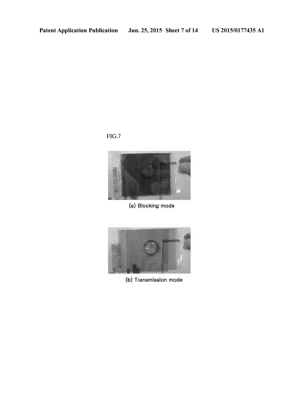 OPTICAL ELEMENT - diagram, schematic, and image 08