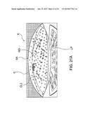 CAMERA DEVICE, THREE-DIMENSIONAL OBJECT DETECTION DEVICE, AND LENS     CLEANING METHOD diagram and image