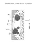 CAMERA DEVICE, THREE-DIMENSIONAL OBJECT DETECTION DEVICE, AND LENS     CLEANING METHOD diagram and image