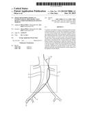 Image Monitoring During an Interventional Procedure, X-Ray Device,     Computer Program and Data Medium diagram and image