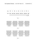 DRIVING METHOD FOR POLARITY INVERSION OF DATA SIGNAL AND IMAGE DISPLAY     METHOD OF LIQUID CRYSTAL PANEL diagram and image