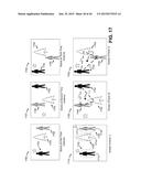 SELECTION AND TRACKING OF OBJECTS FOR DISPLAY PARTITIONING AND CLUSTERING     OF VIDEO FRAMES diagram and image