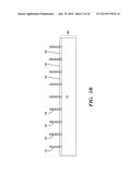 LOCALLY RAISED EPITAXY FOR IMPROVED CONTACT BY LOCAL SILICON CAPPING     DURING TRENCH SILICIDE PROCESSINGS diagram and image