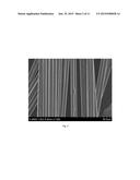 Structural battery half cell, a structural battery and their manufacture diagram and image