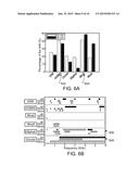 ANTENNA FOR WIRELESS UNDERGROUND COMMUNICATION diagram and image