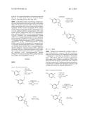 SPIROCYCLIC ISOXAZOLINES AS ANTIPARASITIC AGENTS diagram and image