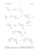 SPIROCYCLIC ISOXAZOLINES AS ANTIPARASITIC AGENTS diagram and image