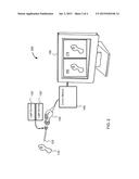 Switching Between White Light Imaging And Excitation Light Imaging Leaving     Last Video Frame Displayed diagram and image