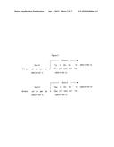 Tissue Products Derived from Animals Lacking any Expression of Functional     Alpha 1, 3 Galactosyltransferase diagram and image