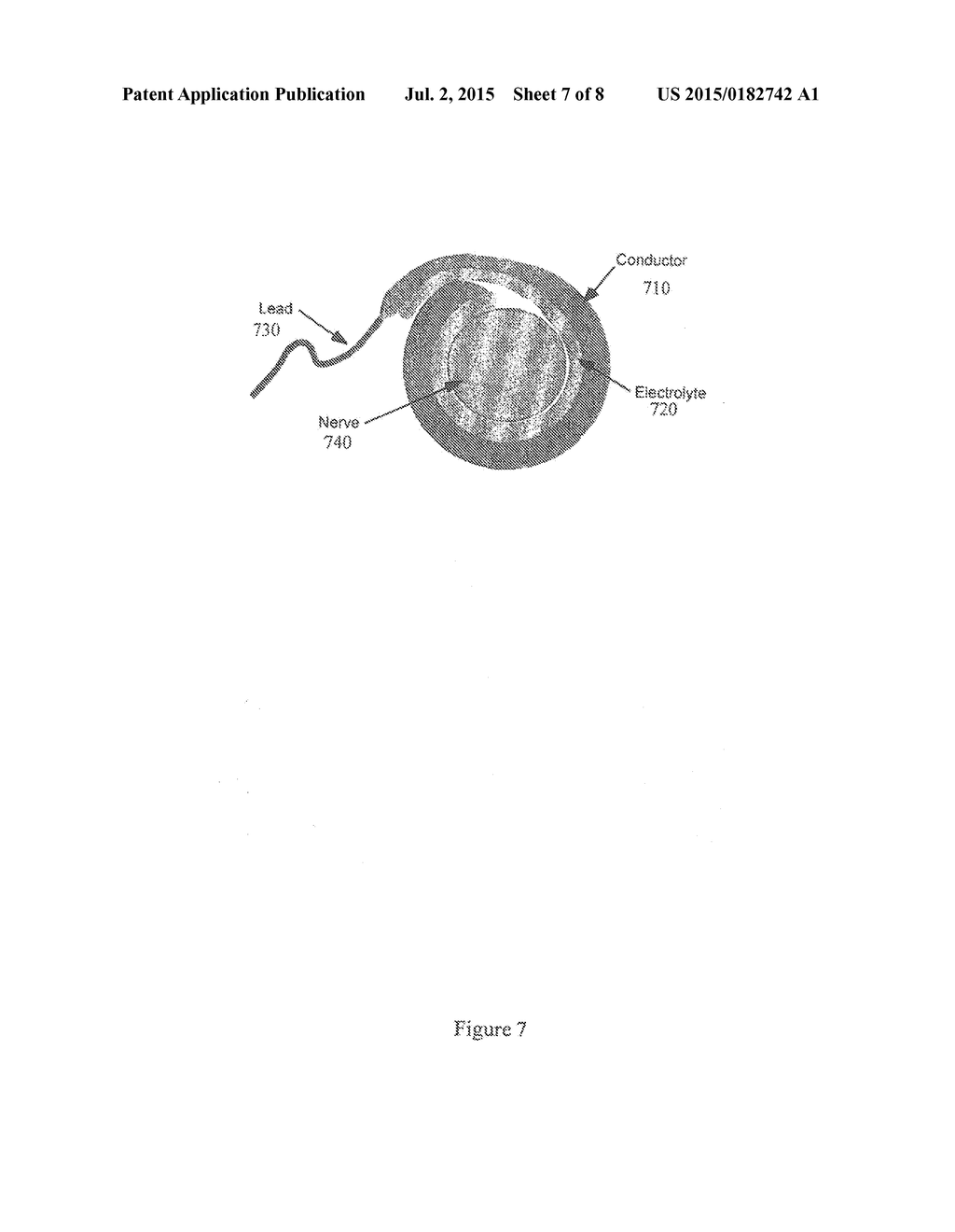 SEPARATED-INTERFACE NERVE ELECTRODE - diagram, schematic, and image 08