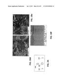 WELDING METHOD AND APPARATUS THEREFOR diagram and image